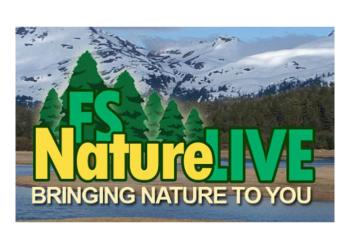 card - FS Nature Live