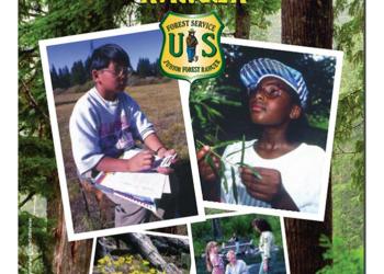 card - Junior Ranger