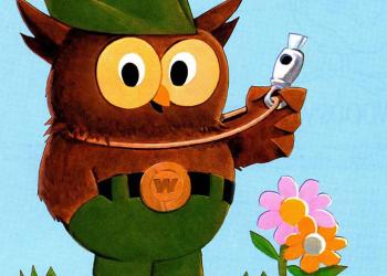 card - Woodsy Owl