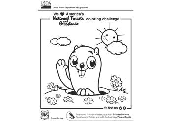 card - coloring sheet