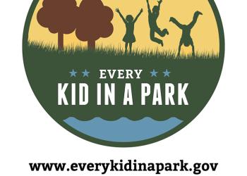 card - every kid in the park