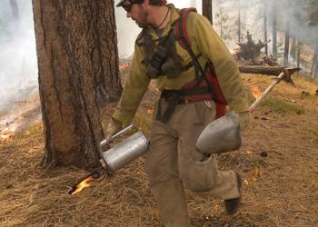 Firefighter laying down fire with drip torch around a tree-500x505-card