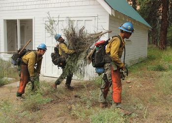 Firefighters clearing brush around building-685x455px-flag