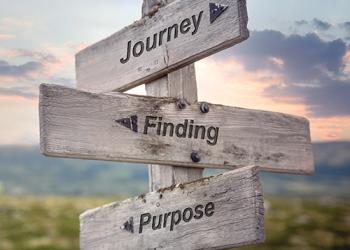 Sign post with the words Journey-Finding-Purpose-CARD
