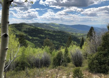 A scenic view over Taos Canyon