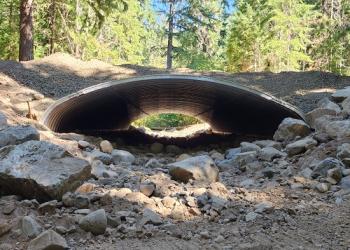 20220920-GP-CampCreek AOP GAOA project by Amanda Housely smaller
