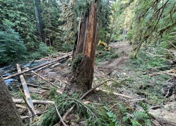 Beginning work on Rush Creek