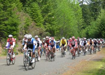 Bike race on forest