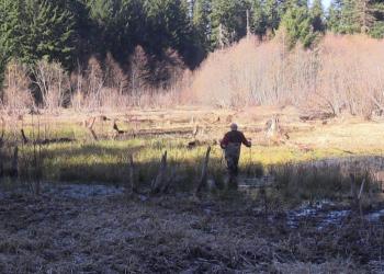 Biologist at Spotted Frog Site
