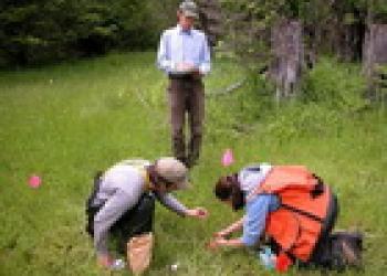 Botany at Work Small