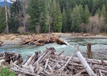 Cispus River-Yellowjacket Creek Restoration Project Woody Debris