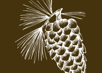 Cones icon