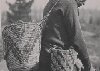 Huckleberry Picker