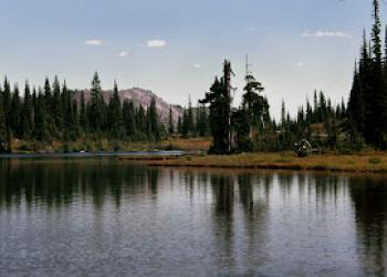 Indian Heaven Wilderness