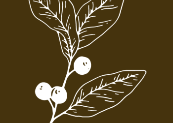 berries icon 02