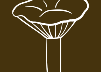 mushroom icon 2