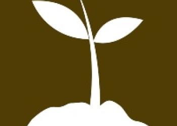 transplants icon