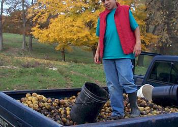 Forest Products header - Truck full of Walnuts