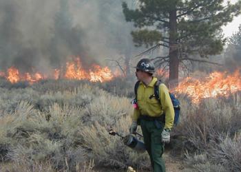 firefighter, fire, smoke, shrubs, prescribed burning