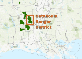 Catahoula Ranger District