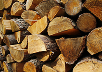 Fuelwood Card