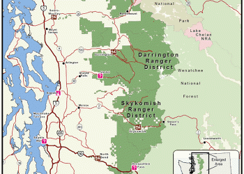 mbs-forest-map-2008