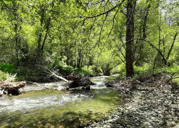 Bear Creek