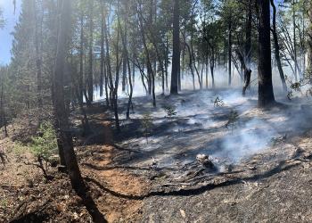 West Shore Prescribed Fire