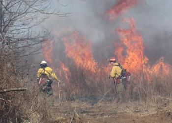 Fire management