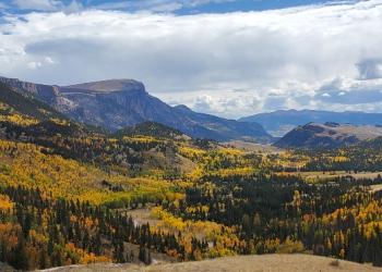Bristolhead -_Fall_2021_Home_Page