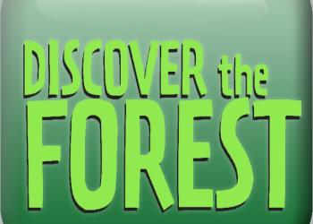 Discover the Forest logo