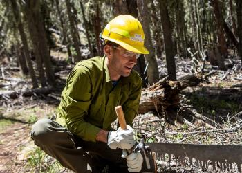 A mean wearing a yellow helmet crouches and hold one end of a crosscut saw.
