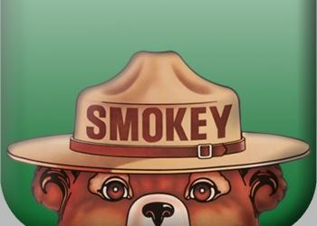 Smokey Bear's hat and eyes are barley visible.
