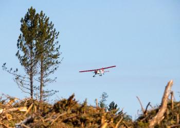 Feature: Greenwood Fire - Aircraft