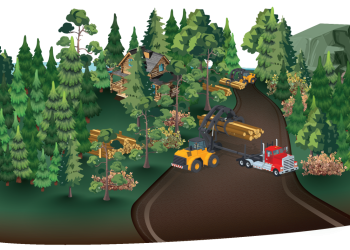 Fuels Treatment: Hazardous Fuels Reduction