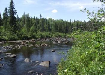 Temperance River Campground