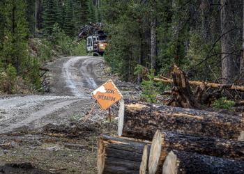 Logging operation