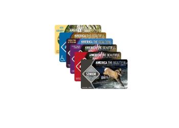 National Park Pass - Slightly Smaller Medium Image