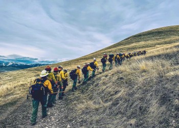Line of firefighters walking up a hill