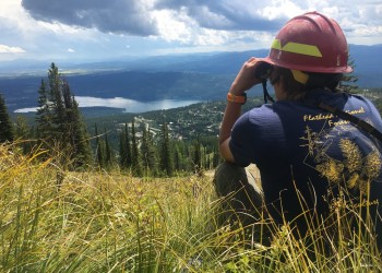 Forest employee looking through binoculars over a lake