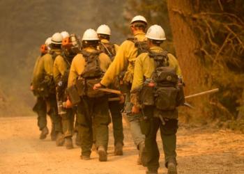 Wildland firefighters walking in line
