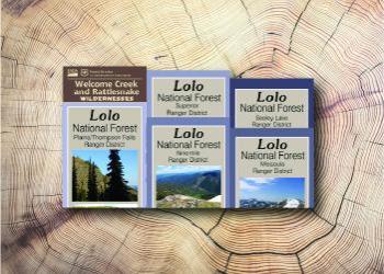 Lolo Forest Visitor maps and Wilderness Map covers displayed stacked.