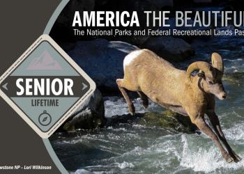 America the Beautiful Senior Lifetime Pass