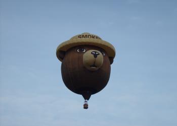 Smokey Bear head air balloon in the sky