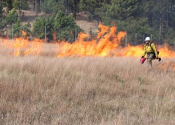 Hell Canyon schenk prescribed burn