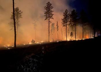 Fire at night