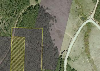 A screenshot of an aerial map showing a dirt road intersection and a yellow line around a section of private property.