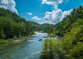 Three rafts float down a slow river with thick green trees lining the sides.