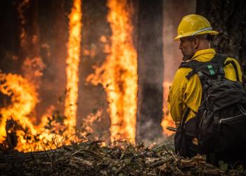 A firefirghter monitors a wildfire.