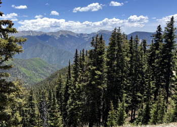 Mountains in the distance over a forested canyon.